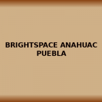brightspace anahuac puebla